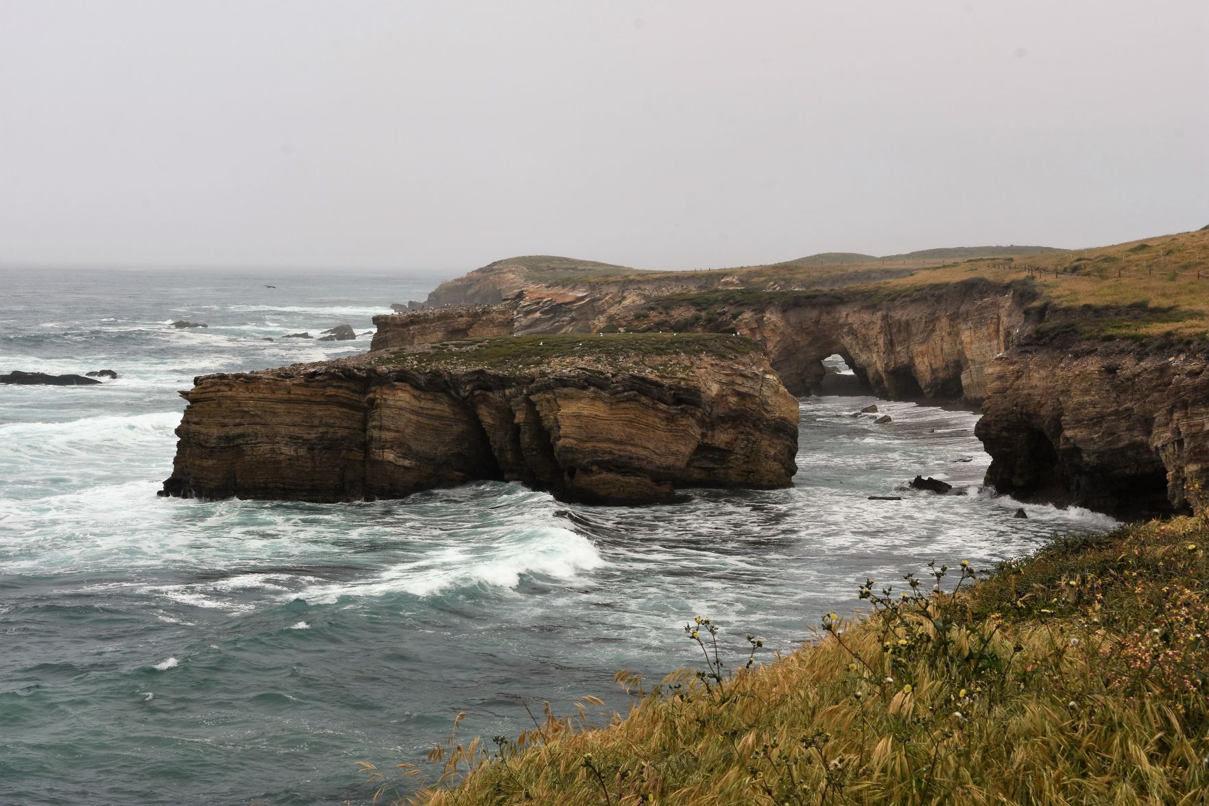 Marine layer 5.jpg